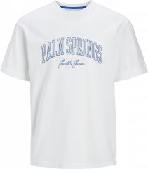 Jack & Jones Detroit Crew Neck T-Shirt White