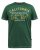D555 Parnwell California Athletics Printed T-Shirt - T-skjorter - Store T-skjorter - 2XL-14XL