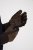 JP1880 811683 Skinnhansker Brun - Hansker - 