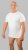 20 Nodi Mezzogiorno Sports T-Shirt White - T-skjorter - Store T-skjorter - 2XL-14XL
