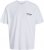 Jack & Jones Botaniq Crew Neck T-Shirt Bright White - T-skjorter - Store T-skjorter - 2XL-14XL