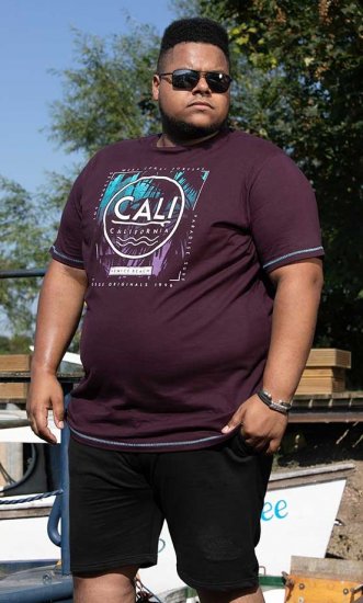 D555 NOVA Cali Surf Printed Crew Neck T-Shirt Plum - T-skjorter - Store T-skjorter - 2XL-14XL