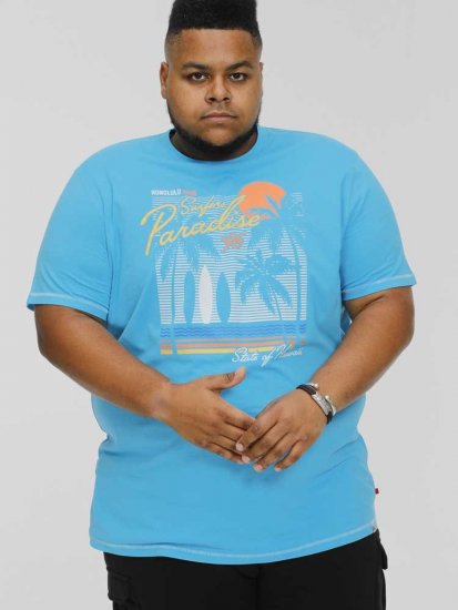 D555 AARON Surfers Paradise Printed Crew Neck T-Shirt Turquoise - T-skjorter - Store T-skjorter - 2XL-14XL