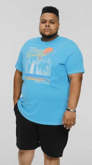 D555 AARON Surfers Paradise Printed Crew Neck T-Shirt Turquoise - T-skjorter - Store T-skjorter - 2XL-14XL