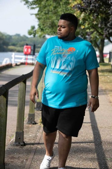 D555 AARON Surfers Paradise Printed Crew Neck T-Shirt Turquoise - T-skjorter - Store T-skjorter - 2XL-14XL
