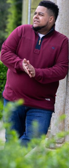 D555 HIRALDO Quarter Neck Pique Fleece Sweatshirt With Chest Embroidery Red - Gensere og hettegensere - Store hettegensere - 2XL-14XL