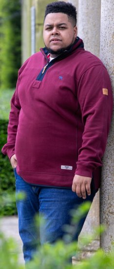 D555 HIRALDO Quarter Neck Pique Fleece Sweatshirt With Chest Embroidery Red - Gensere og hettegensere - Store hettegensere - 2XL-14XL