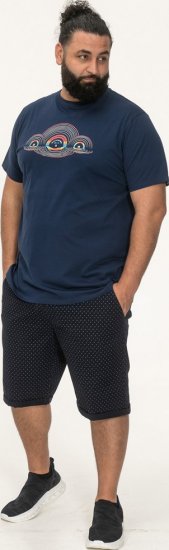 D555 Cheltenham Record With Reflection Printed T-shirt French Navy - T-skjorter - Store T-skjorter - 2XL-14XL