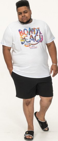 D555 SYDNEY Multi Coloured Bondi Beach Printed T-Shirt White - T-skjorter - Store T-skjorter - 2XL-14XL