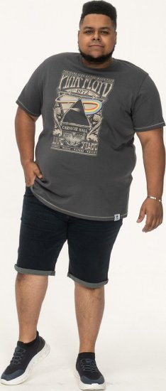 D555 HANLEY Official Pink Floyd Crew Neck T-Shirt Dark Grey - T-skjorter - Store T-skjorter - 2XL-14XL