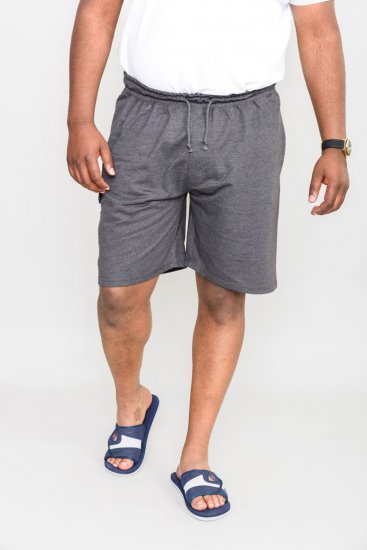 D555 John "Lightweight" Treningsshorts Grå - Sweatbukser og-shorts - Sweatbukser og Sweatshorts 2XL-12XL