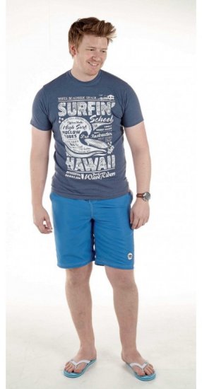 D555 Francis Blue T-shirt - T-skjorter - Store T-skjorter - 2XL-14XL