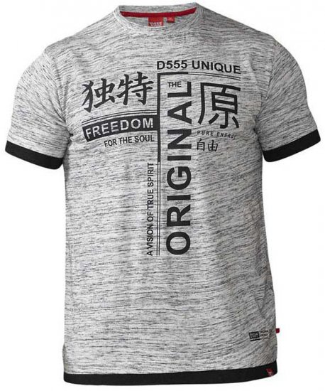 D555 Harold T-shirt Grey - T-skjorter - Store T-skjorter - 2XL-14XL
