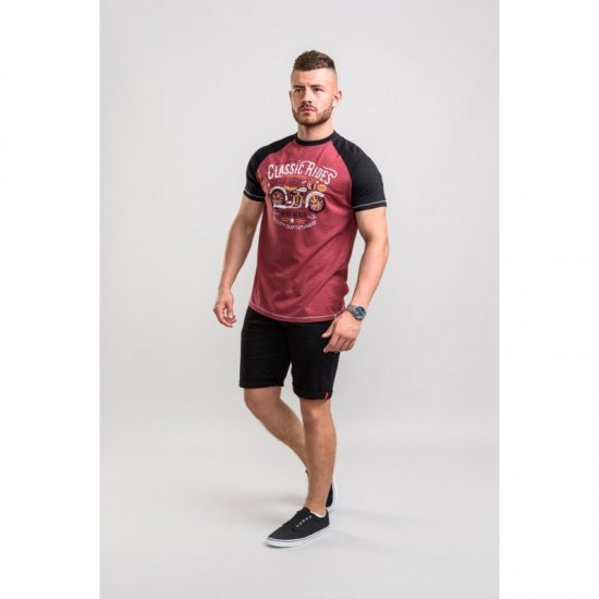 D555 Evans T-shirt Burgundy - T-skjorter - Store T-skjorter - 2XL-14XL