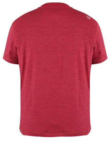 D555 Lettaford Printed T-shirt - T-skjorter - Store T-skjorter - 2XL-14XL