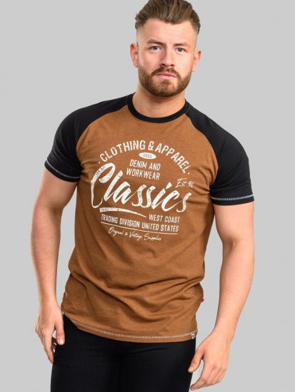D555 Charmouth Raglan Sleeve Printed T-Shirt - T-skjorter - Store T-skjorter - 2XL-14XL