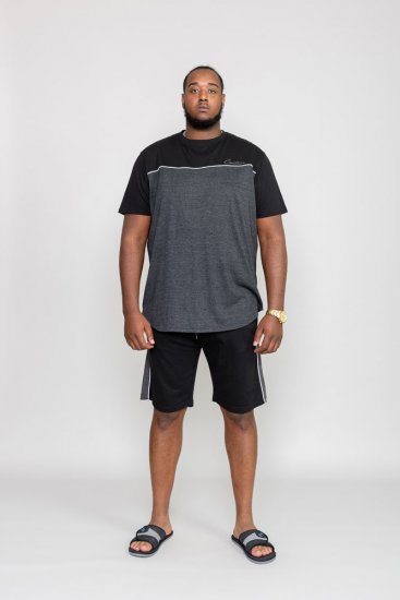 D555 NEWBURY T-Shirt - T-skjorter - Store T-skjorter - 2XL-14XL