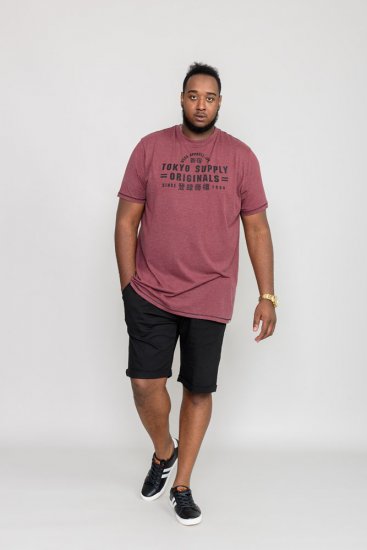 D555 LINTON Printed T-Shirt - T-skjorter - Store T-skjorter - 2XL-14XL