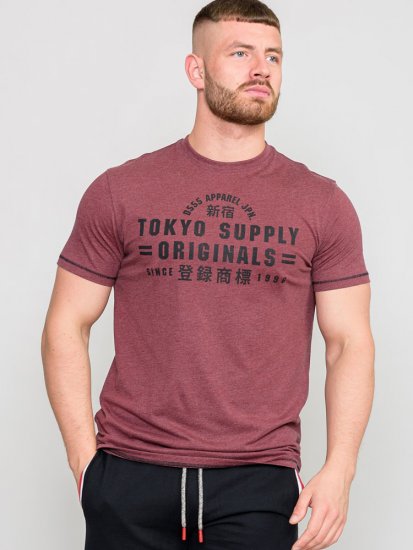 D555 LINTON Printed T-Shirt - T-skjorter - Store T-skjorter - 2XL-14XL