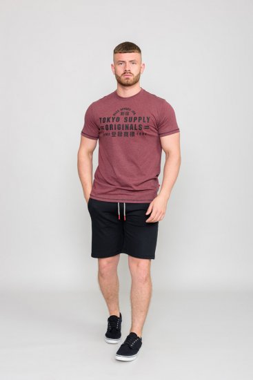 D555 LINTON Printed T-Shirt - T-skjorter - Store T-skjorter - 2XL-14XL