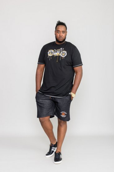 D555 ROCHESTER Printed T-Shirt - T-skjorter - Store T-skjorter - 2XL-14XL