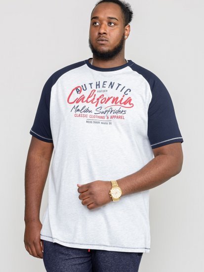 D555 SPARROW Printed T-Shirt - T-skjorter - Store T-skjorter - 2XL-14XL