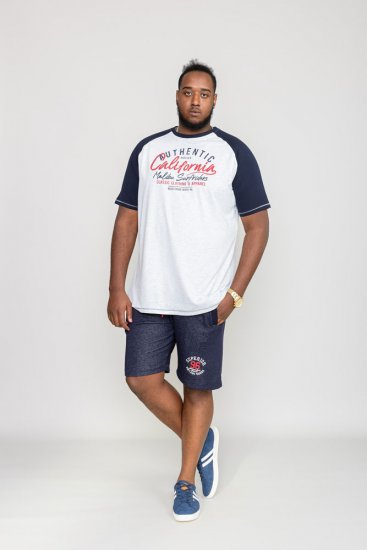 D555 SPARROW Printed T-Shirt - T-skjorter - Store T-skjorter - 2XL-14XL