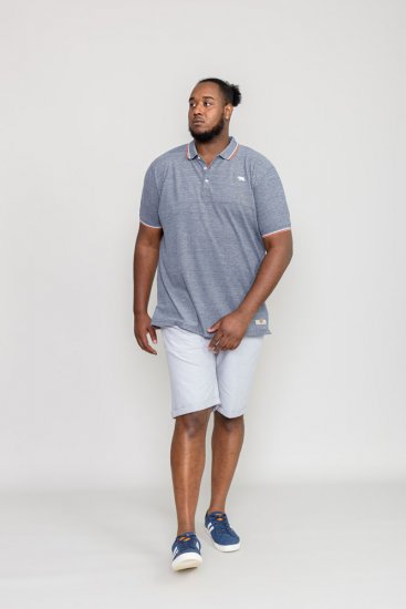 D555 WILCOT Polo Shirt - Polo- & piqueskjorter - Poloskjorte i store størrelser - 2XL-8XL