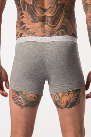 JP1880 Boxershorts Flexnamic OEKO-TEX Mid 2-Pack Grey/Off-White - Undertøy & badetøy - Undertøy store størrelser 