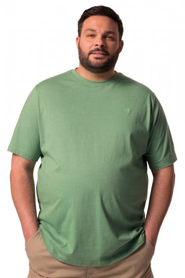 Men+ 276 T-skjorte med rund hals Grønn - T-skjorter - Store T-skjorter - 2XL-14XL