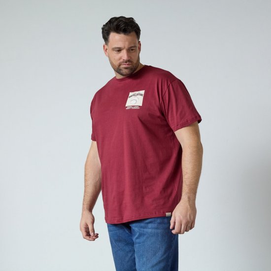 North Latitude T-Shirt With Print Rød - T-skjorter - Store T-skjorter - 2XL-14XL