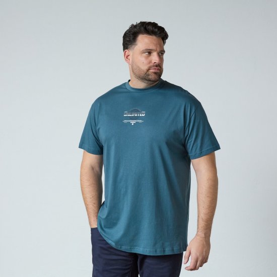 North Latitude T-Shirt With Print Blå - T-skjorter - Store T-skjorter - 2XL-14XL