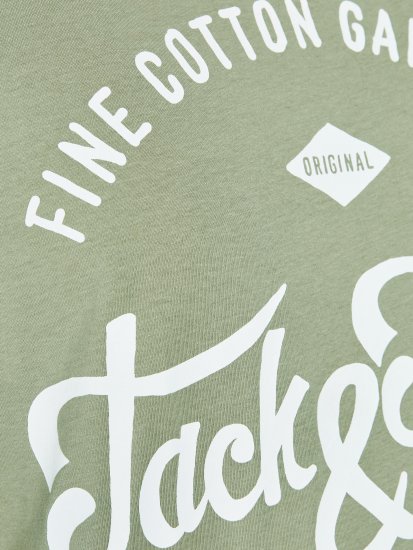 Jack & Jones JJERAFA TEE Light Green - T-skjorter - Store T-skjorter - 2XL-14XL