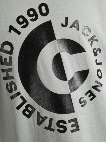 Jack & Jones JCOSPRING T-Shirt Gray - T-skjorter - Store T-skjorter - 2XL-14XL