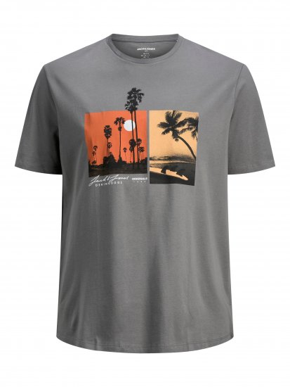 Jack & Jones Rocto T-shirt Sedona sage - T-skjorter - Store T-skjorter - 2XL-14XL