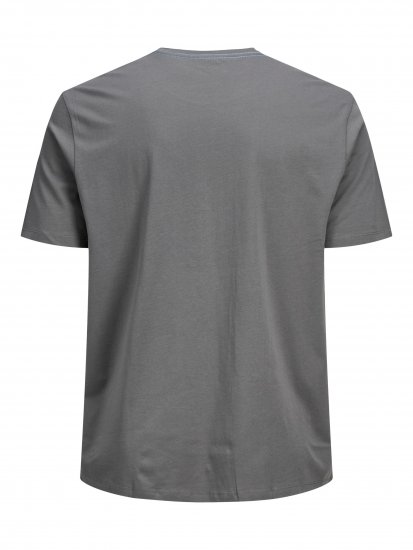Jack & Jones Rocto T-shirt Sedona sage - T-skjorter - Store T-skjorter - 2XL-14XL