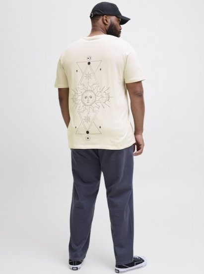 Jack & Jones Jackie Crew Neck T-Shirt Moonbeam - T-skjorter - Store T-skjorter - 2XL-14XL