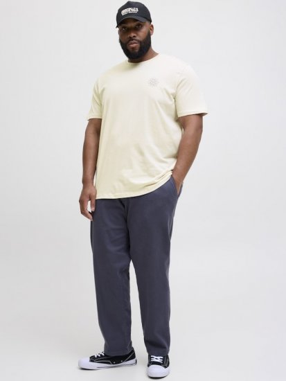 Jack & Jones Jackie Crew Neck T-Shirt Moonbeam - T-skjorter - Store T-skjorter - 2XL-14XL