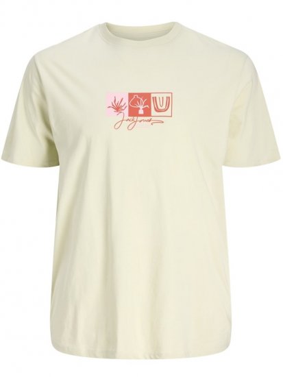 Jack & Jones Canggu Crew Neck T-Shirt Celadon Tint - T-skjorter - Store T-skjorter - 2XL-14XL