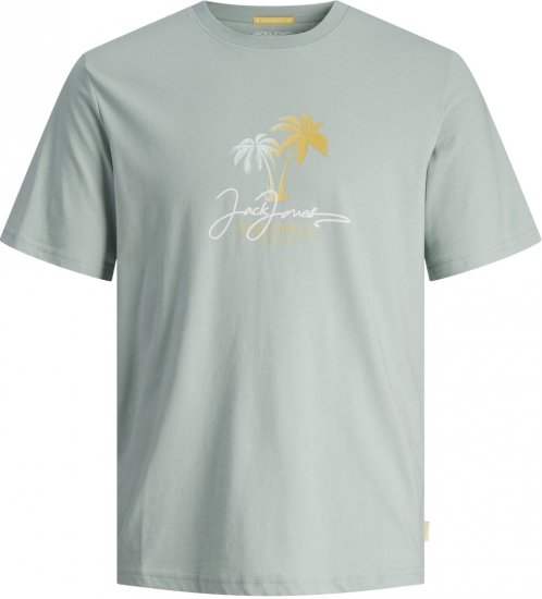 Jack & Jones JORCASEY T-Shirt Crew Neck Gray Mist - T-skjorter - Store T-skjorter - 2XL-14XL