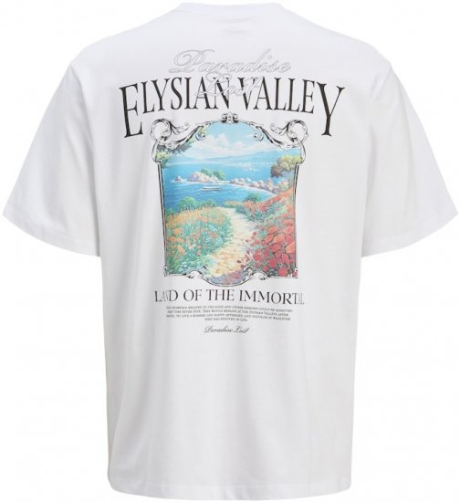 Jack & Jones Parallel Crew Neck T-Shirt Bright White - T-skjorter - Store T-skjorter - 2XL-14XL