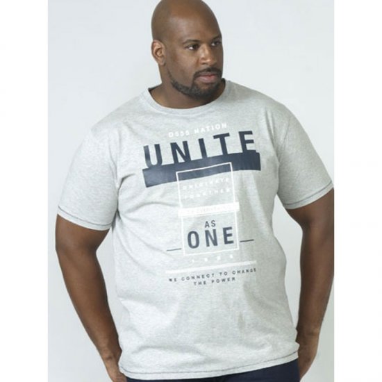 D555 Phillip T-shirt Grey - T-skjorter - Store T-skjorter - 2XL-14XL