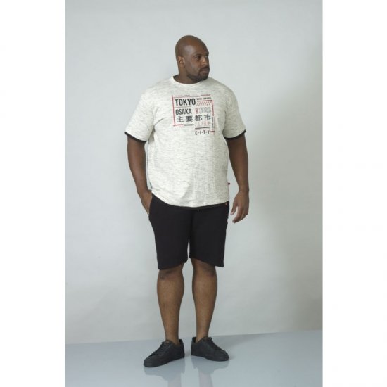 D555 Merlin T-shirt Grey - T-skjorter - Store T-skjorter - 2XL-14XL