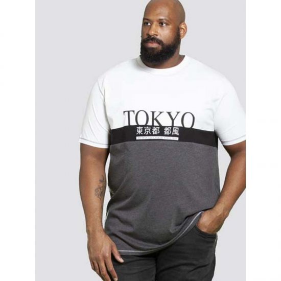 D555 Morris T-shirt Charcoal - T-skjorter - Store T-skjorter - 2XL-14XL