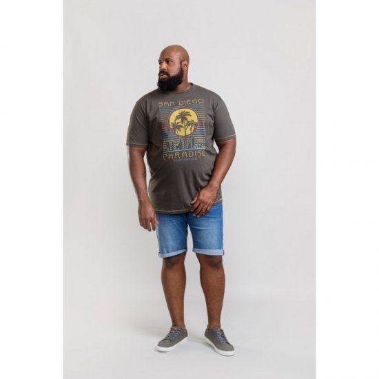 D555 Stanley T-shirt Khaki - T-skjorter - Store T-skjorter - 2XL-14XL
