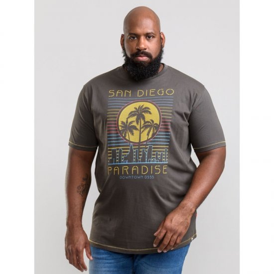 D555 Stanley T-shirt Khaki - T-skjorter - Store T-skjorter - 2XL-14XL