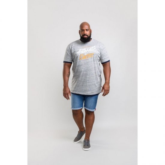 D555 Finn T-shirt Grey - T-skjorter - Store T-skjorter - 2XL-14XL