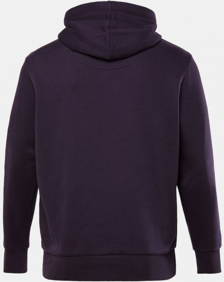 JAY-PI Hoodie with Soft Brushed Interior Purple - Gensere og hettegensere - Store hettegensere - 2XL-14XL