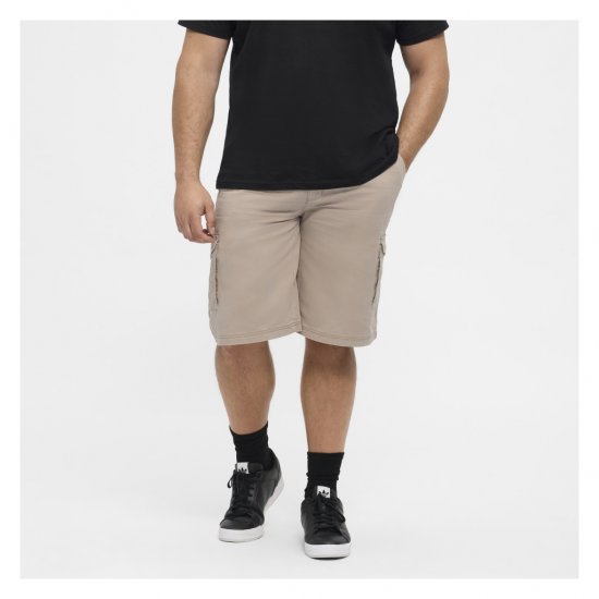 North Latitude Cargo Shorts Sand - Shorts - Store shorts - W40-W60