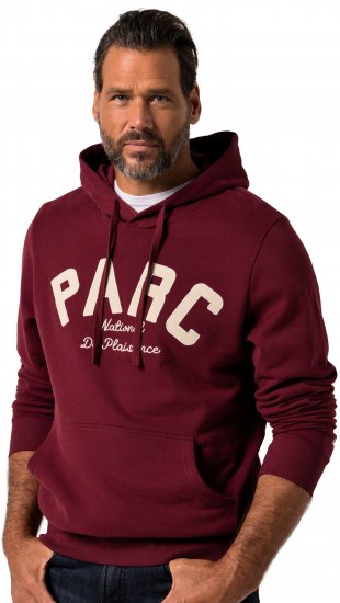 JP1880 Hoodie with Embroidery Aubergine - Gensere og hettegensere - Store hettegensere - 2XL-14XL